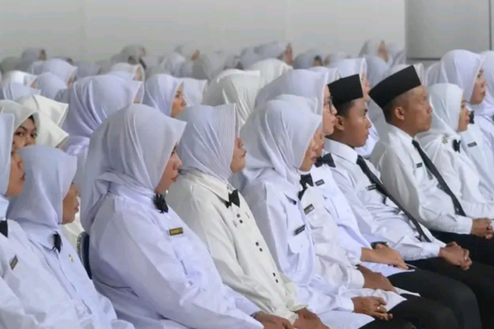 Domain Info GTK Berubah! Ini Panduan Lengkap Cek NRG Agar TPG Segera Cair